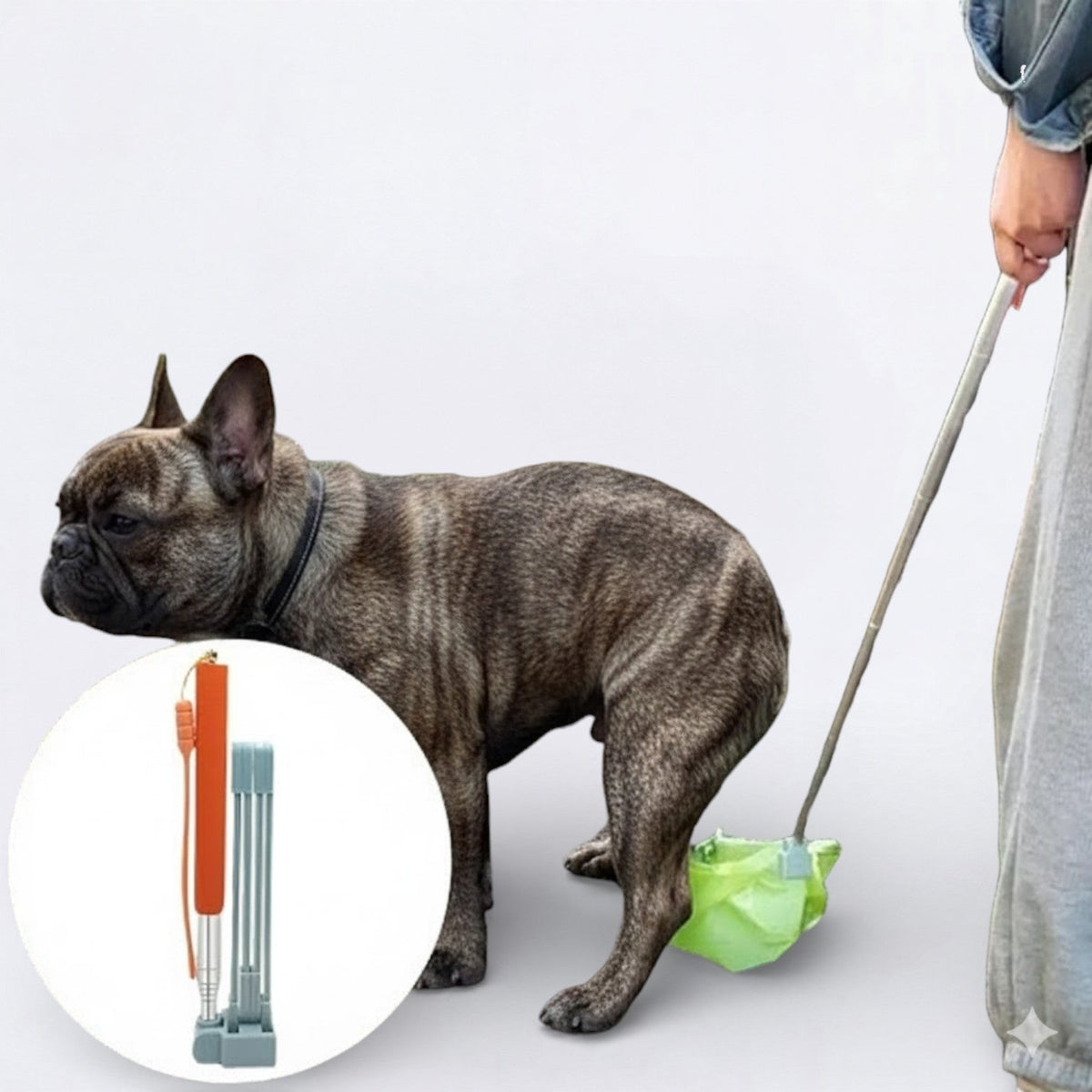 Long-Handle-Dog-Poop-Scooper.jpg
