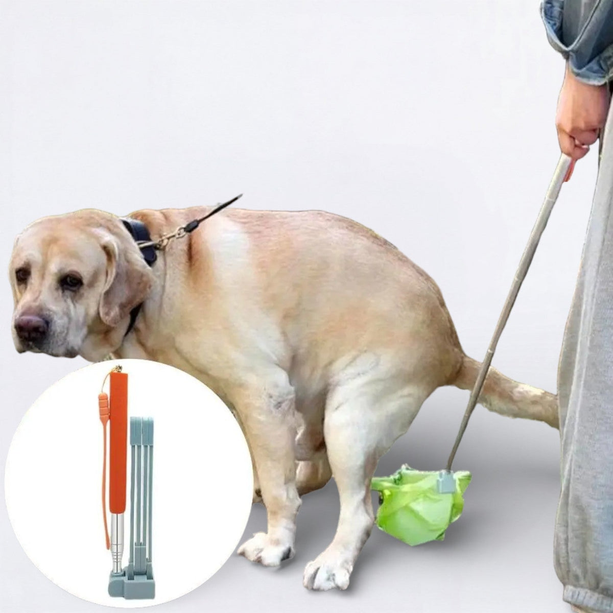 Long-Handle-Dog-Poop-Scooper.jpg
