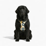 'Luna' No-Pull Dog Harness