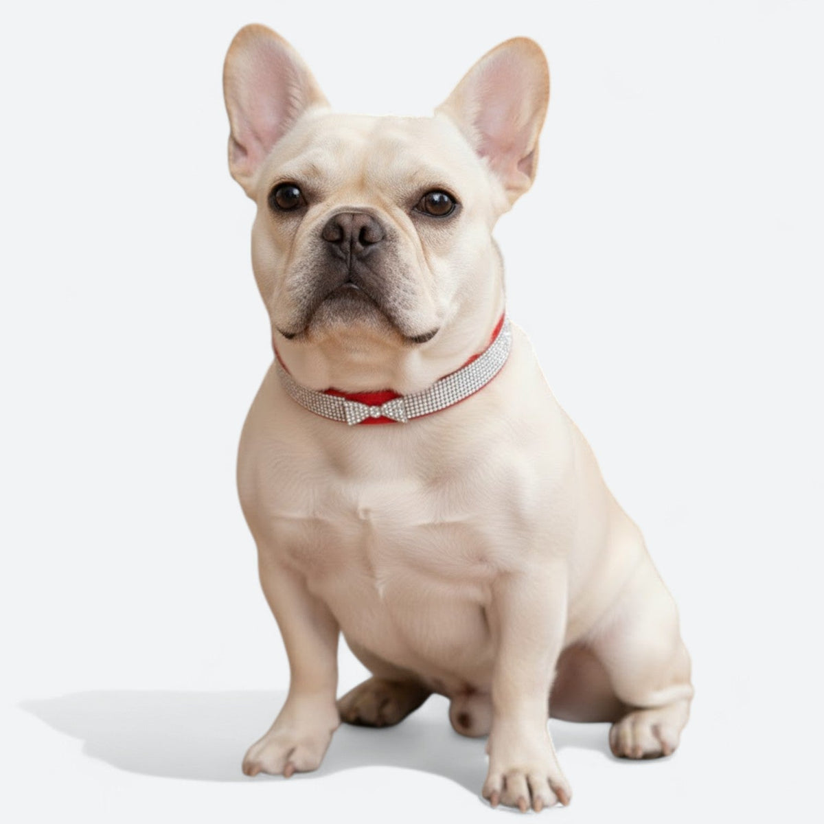 Luxury-Bow-Dog-Collar-Leash-Set.jpg