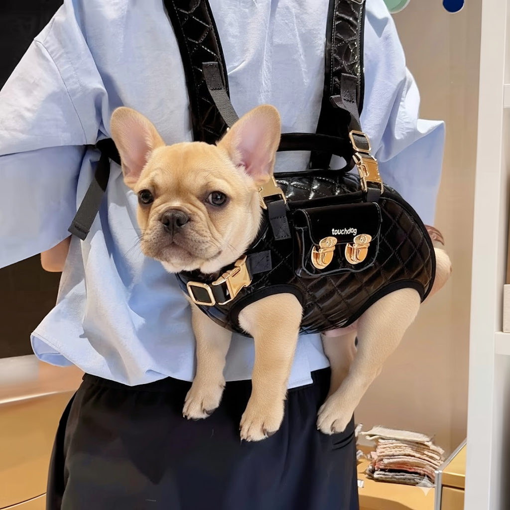 Luxury-Horizontal-Dog-Backpack-Carrier.jpg