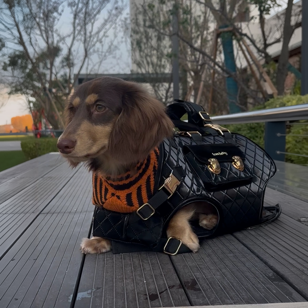 Luxury-Horizontal-Dog-Backpack-Carrier.jpg