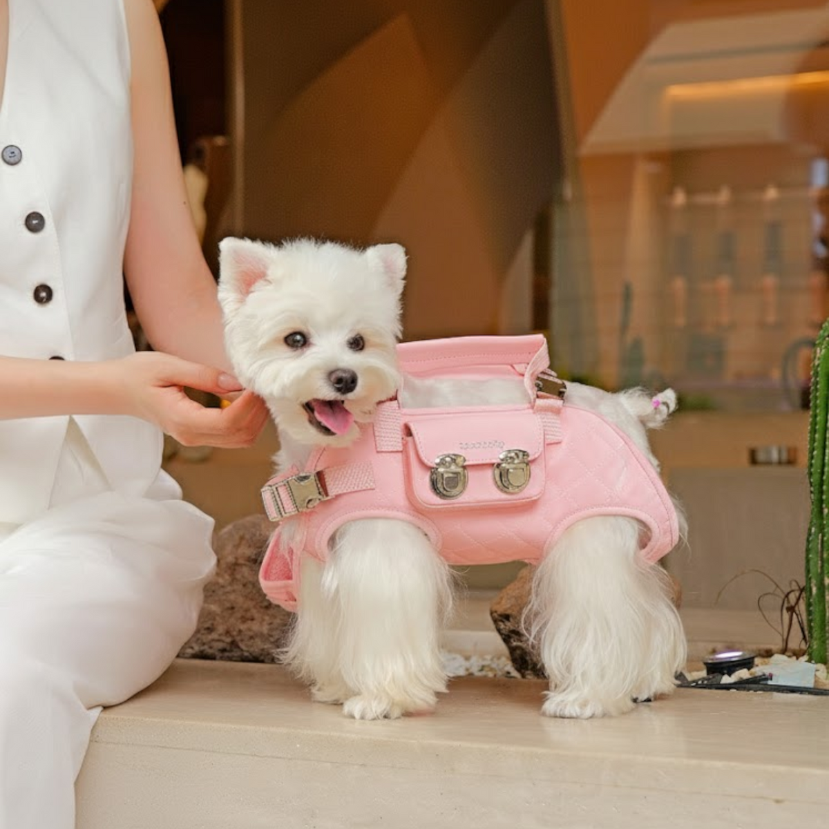 Luxury-Horizontal-Dog-Backpack-Carrier.jpg