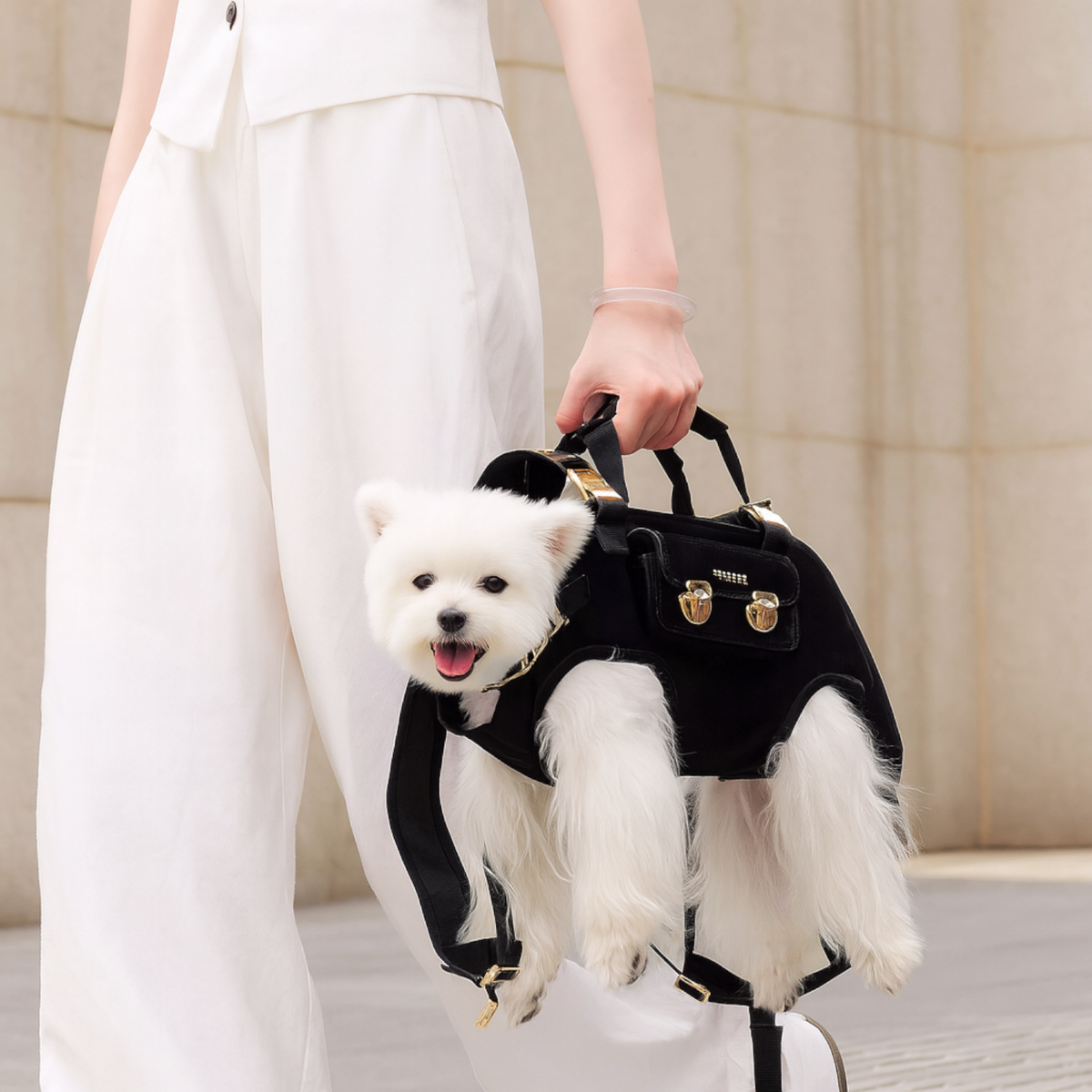 Luxury-Horizontal-Dog-Backpack-Carrier.jpg