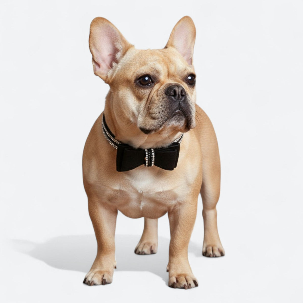 Luxury-Rhinestone-Bow-Dog-Collar-Leash-Set.jpg