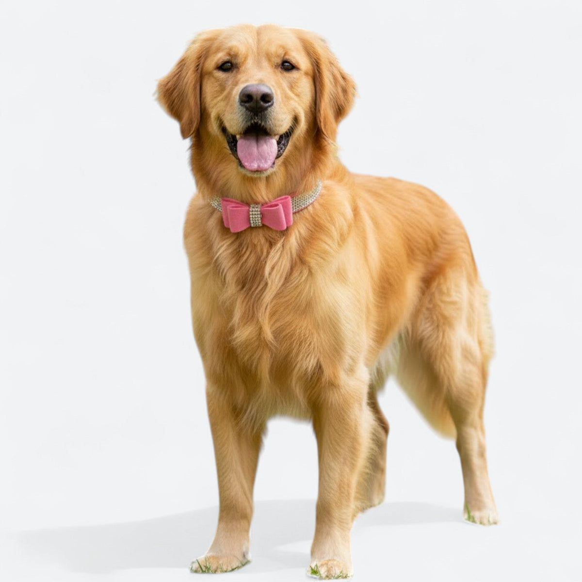 Luxury-Rhinestone-Bow-Dog-Collar-Leash-Set.jpg