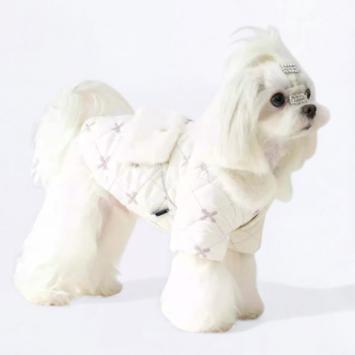 Luxury-Winter-Quilted-Dog-Coat.jpg