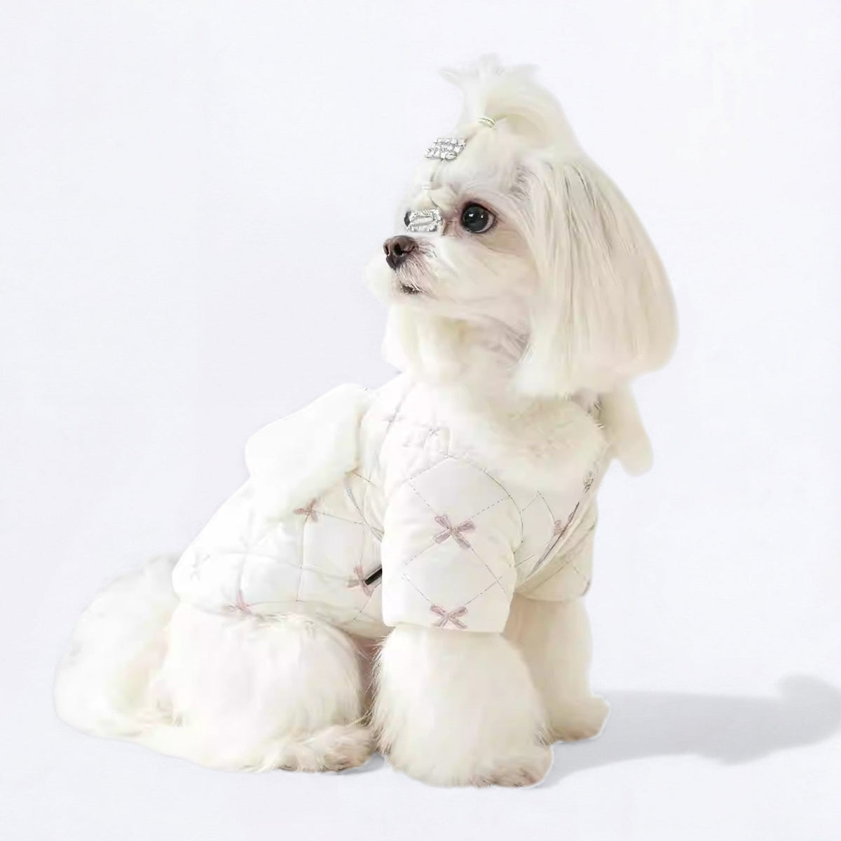 Luxury-Winter-Quilted-Dog-Coat.jpg