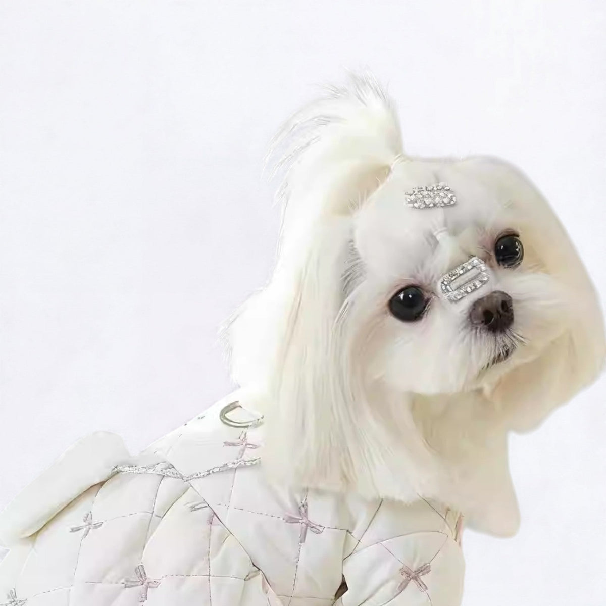 Luxury-Winter-Quilted-Dog-Coat.jpg
