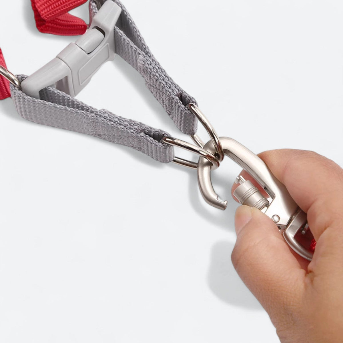 Macaron-Dog-Harness-Leash-Set.jpg