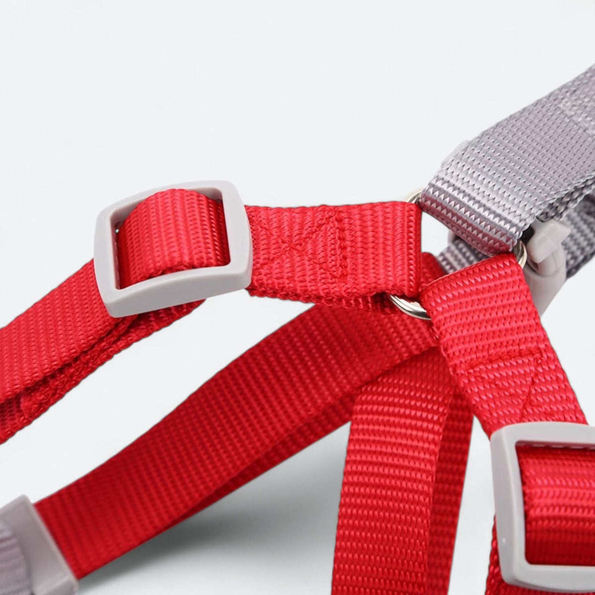 Macaron-Dog-Harness-Leash-Set.jpg