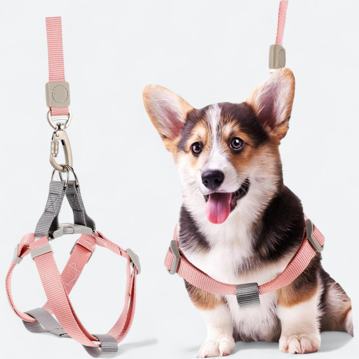 Macaron-Dog-Harness-Leash-Set.jpg