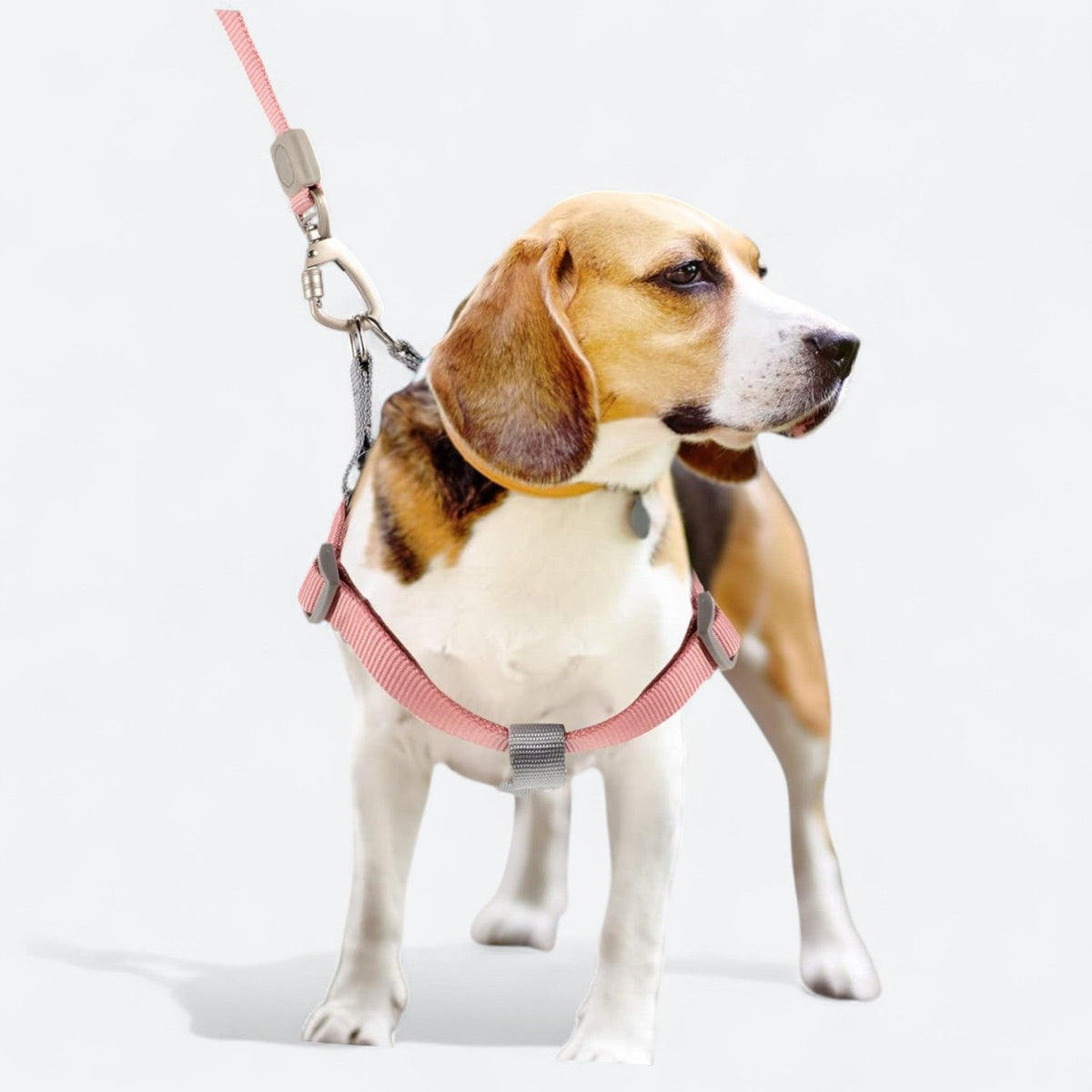 Macaron-Dog-Harness-Leash-Set.jpg