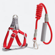 Macaron dog harness and leash set