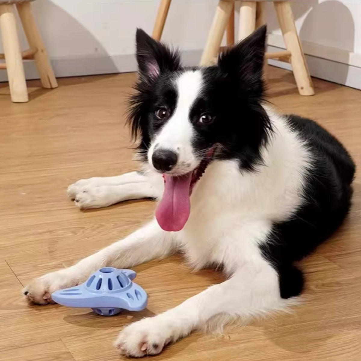 Meow-Wow-Light-Up-Sounding-Dog-Toy.jpg