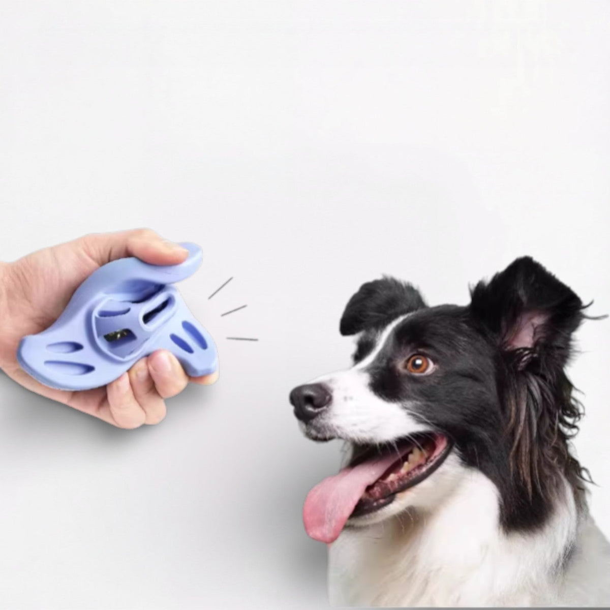 Meow-Wow-Light-Up-Sounding-Dog-Toy.jpg