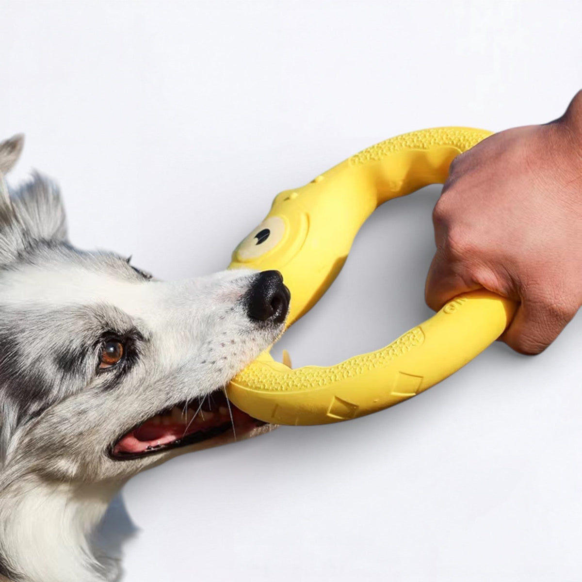 Monster-Dog-Frisbee-Chew-Toy.jpg