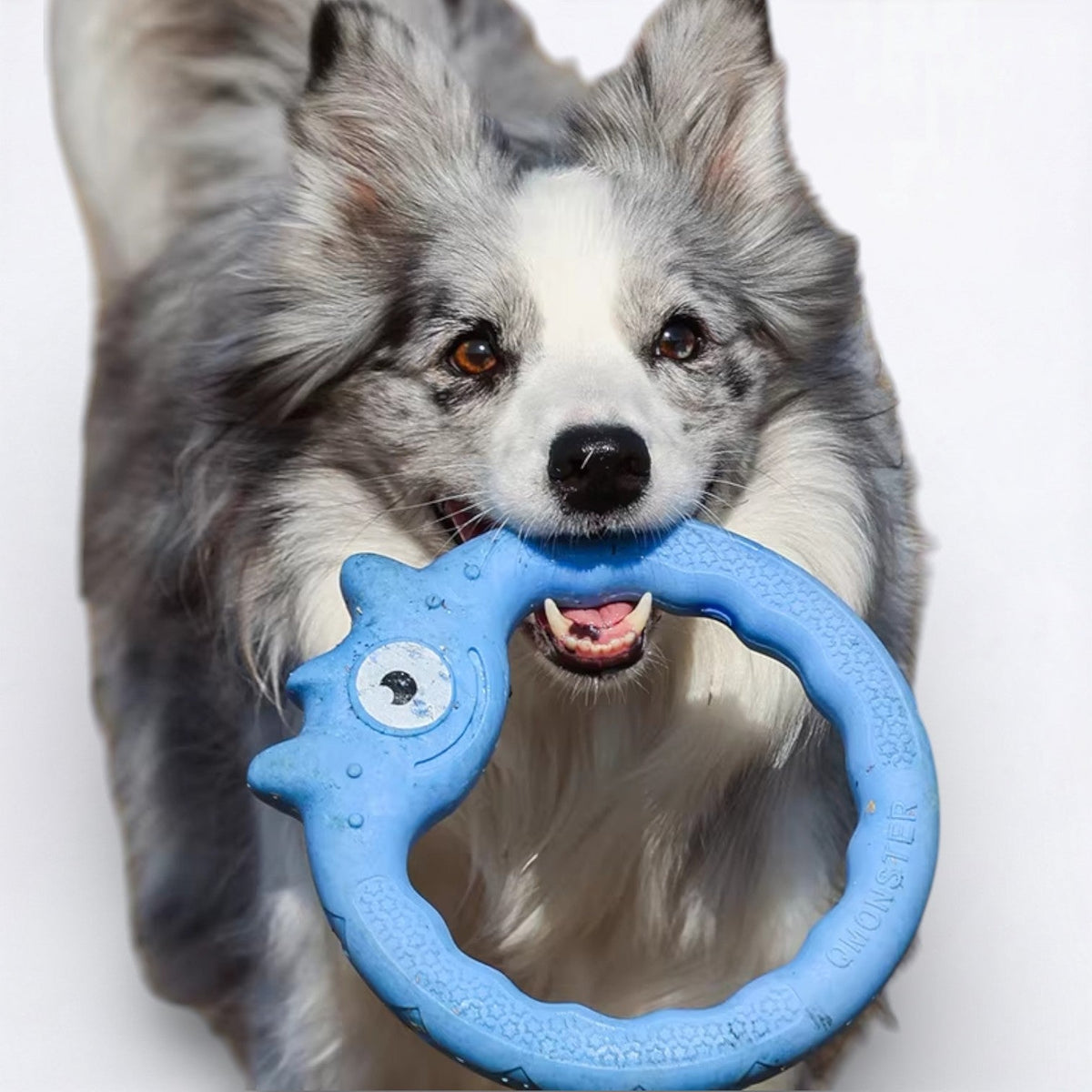 Monster-Dog-Frisbee-Chew-Toy.jpg