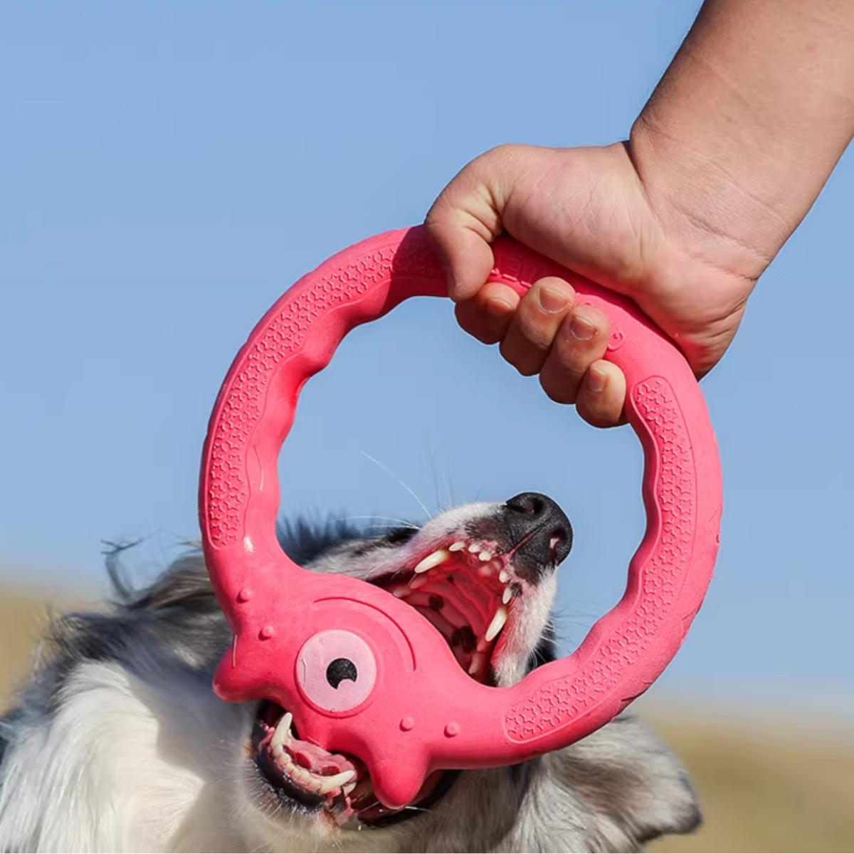 Monster-Dog-Frisbee-Chew-Toy.jpg
