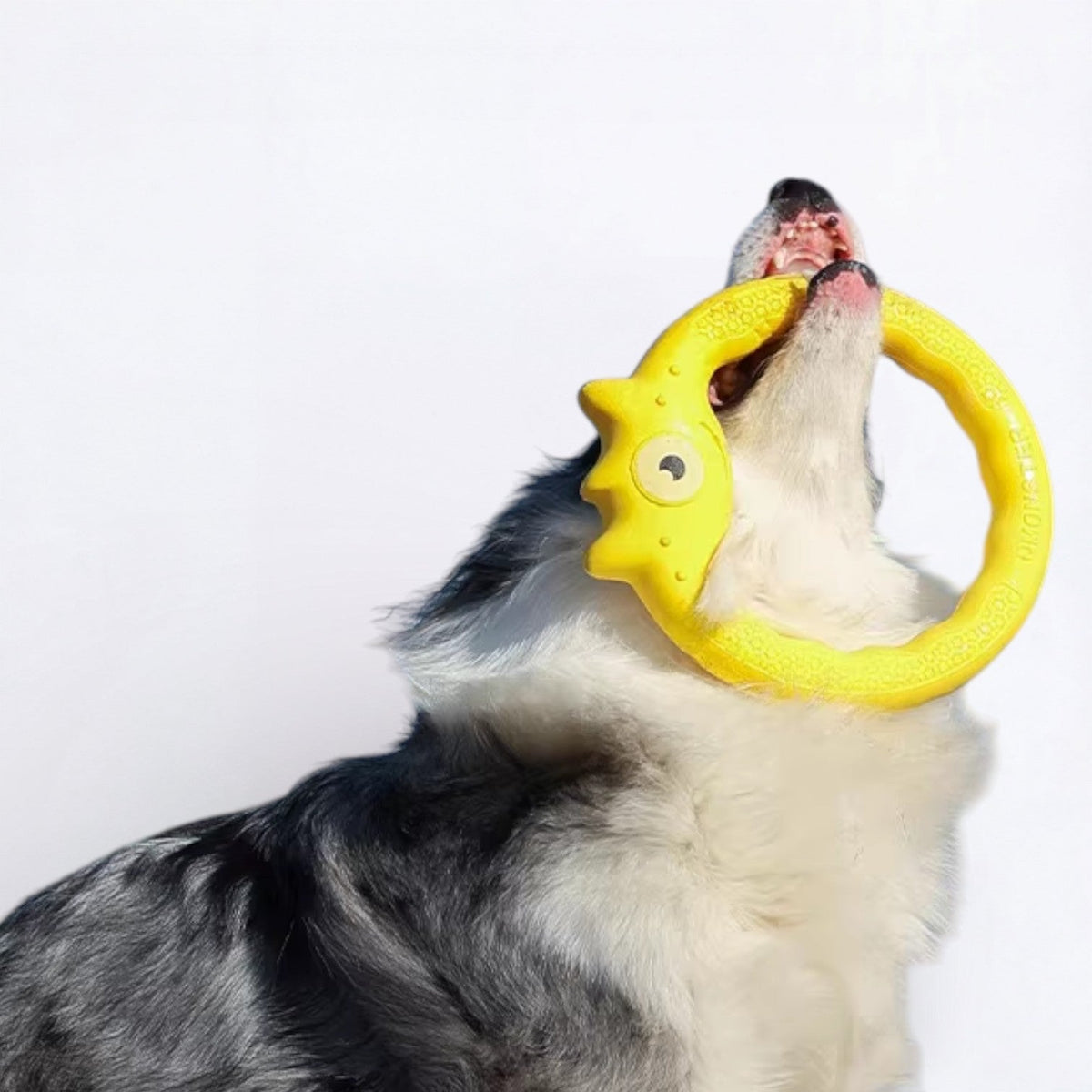 Monster-Dog-Frisbee-Chew-Toy.jpg