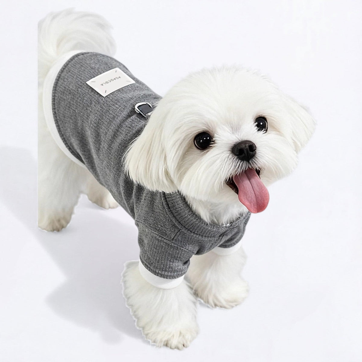 Multi-Layered-Dog-Sweatshirt.jpg