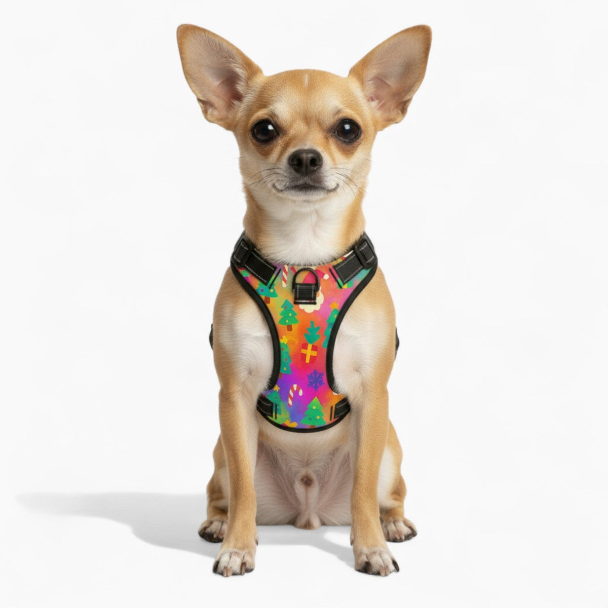 Nala NO-PULL Dog Harness & Leash Set