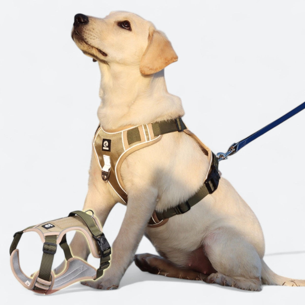 No-Pull-Dog-Harness-Leash-Set.jpg