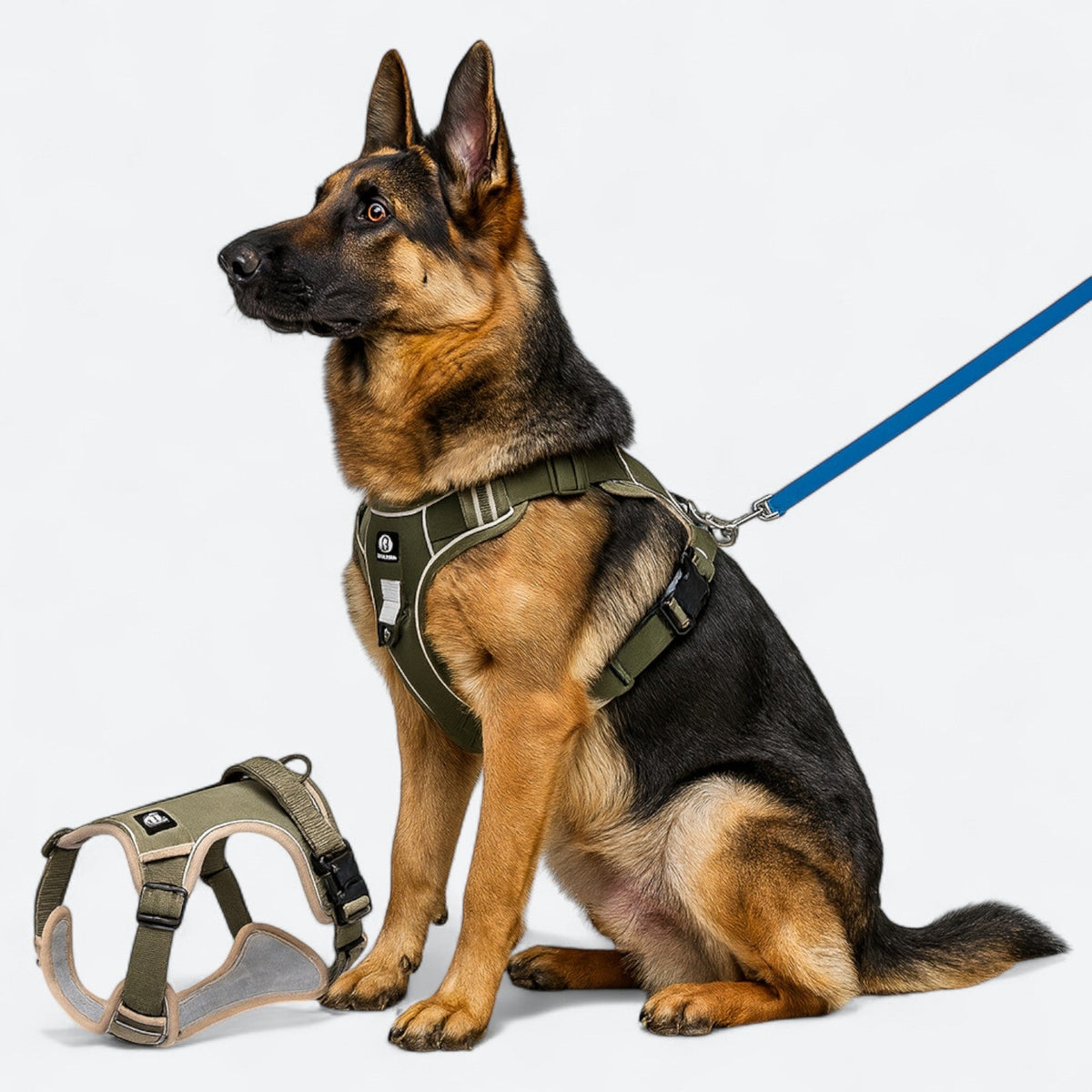 No-Pull-Dog-Harness-Leash-Set.jpg