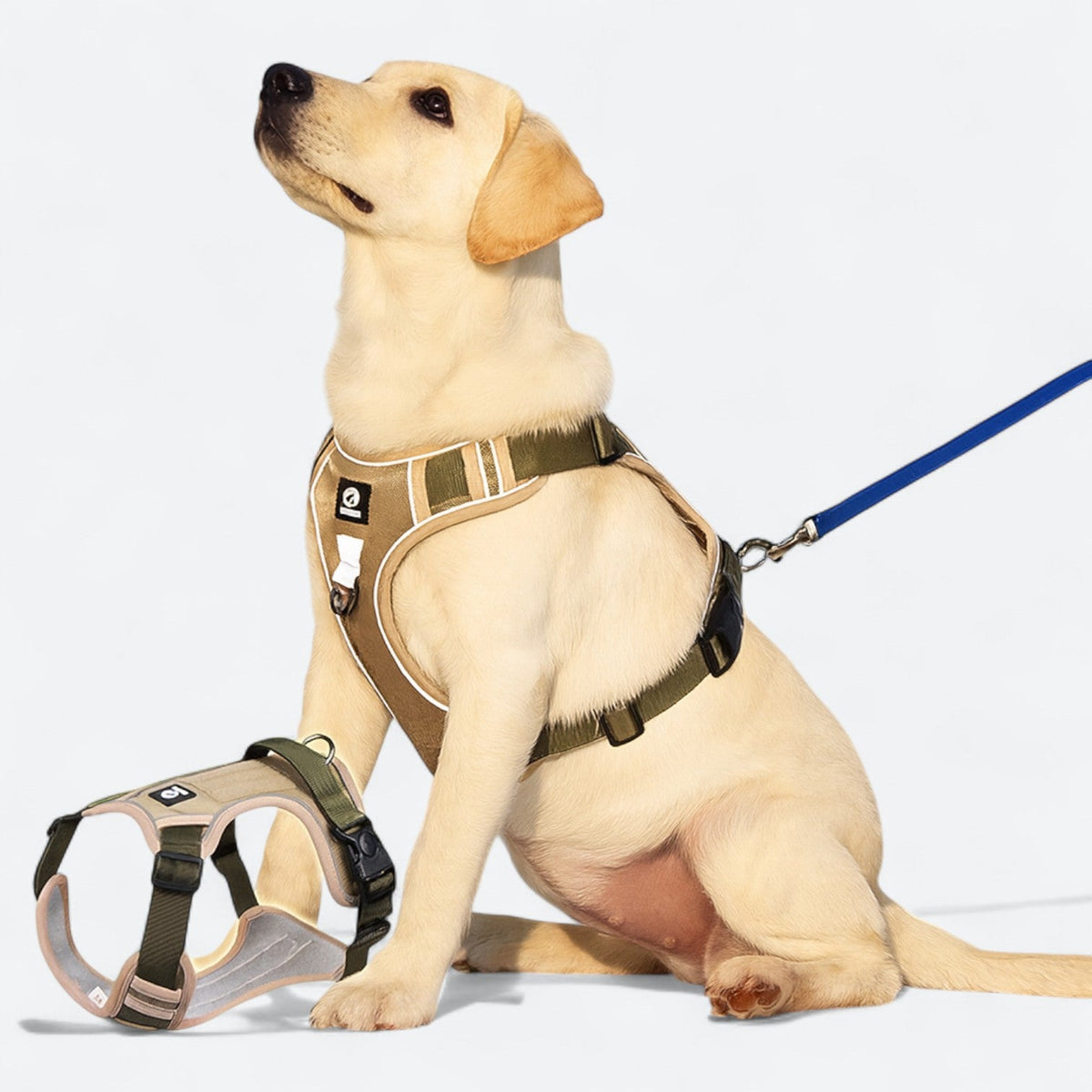 No-Pull-Dog-Harness-Leash-Set.jpg