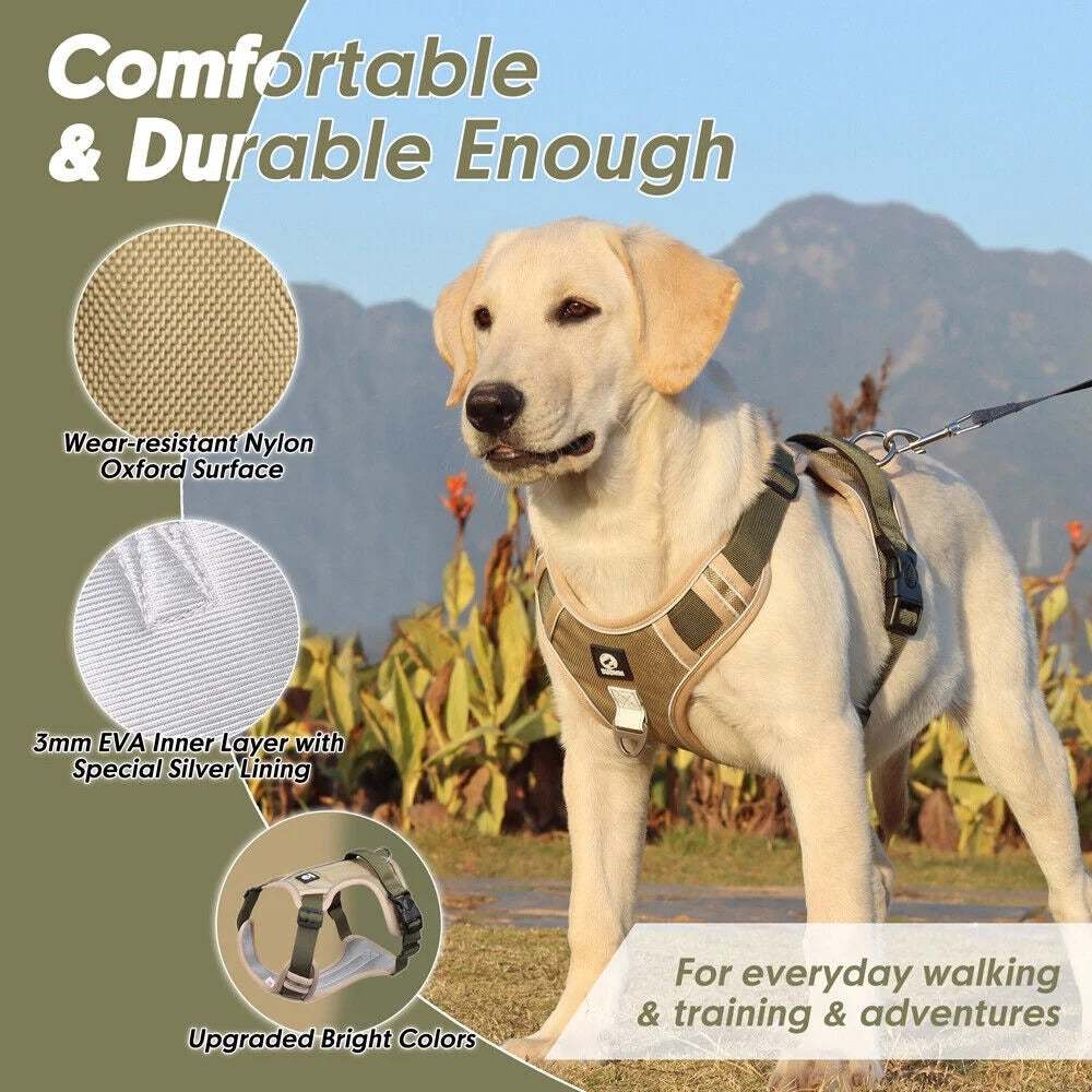 No-Pull-Dog-Harness-Leash-Set.jpg