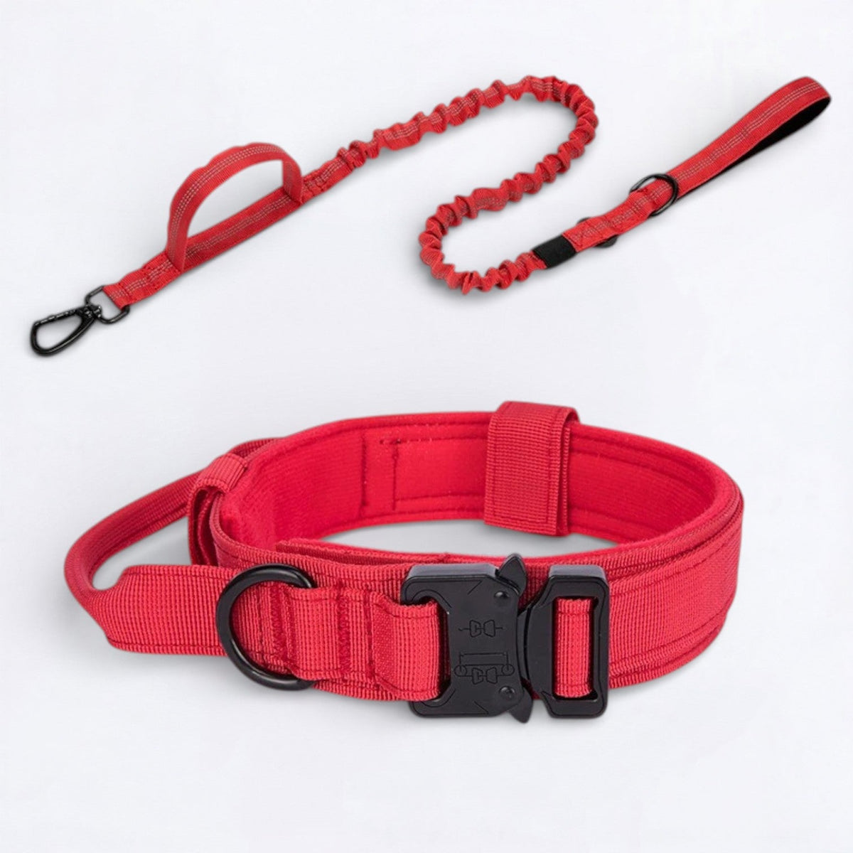Nylon dog collar and leash set