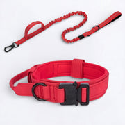 Nylon dog collar and leash set