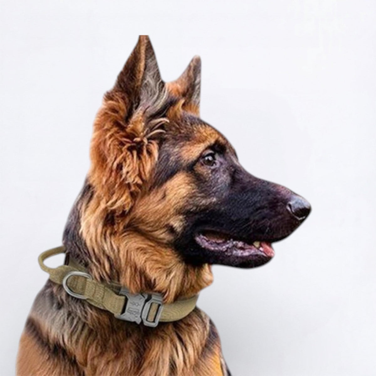 Nylon-Dog-Collar-Leash-Set.jpg
