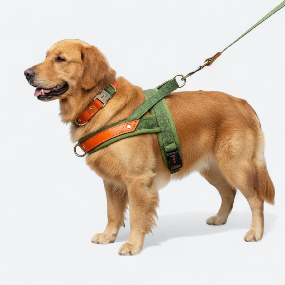 Nylon-Dog-Harness-Leash-Collar-Set.jpg