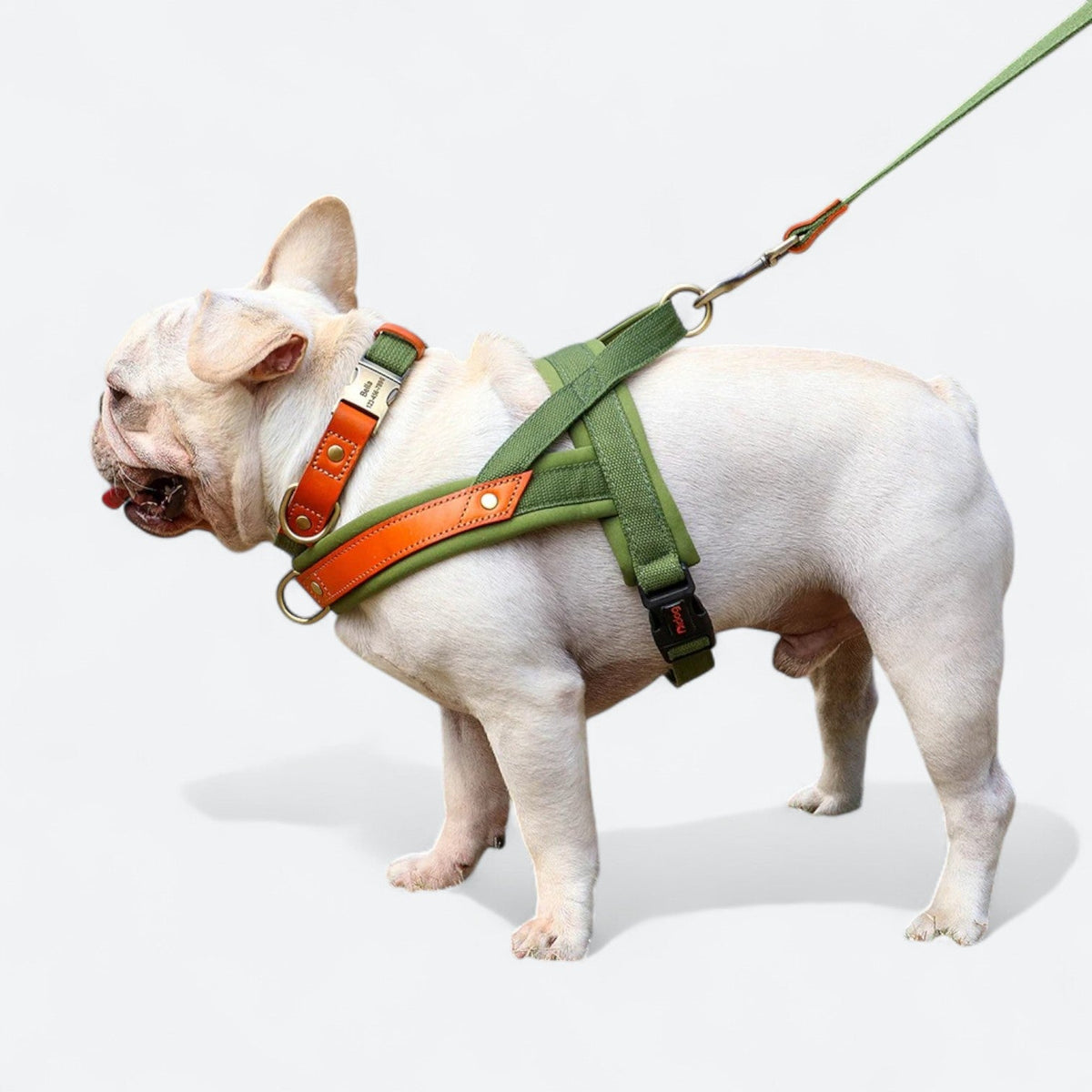 Nylon-Dog-Harness-Leash-Collar-Set.jpg