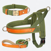No-pull dog harness, collar and leash set
