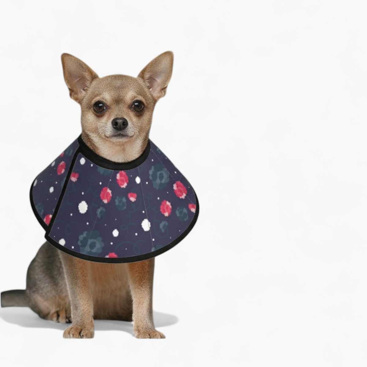 Ollie Soft Dog Cone