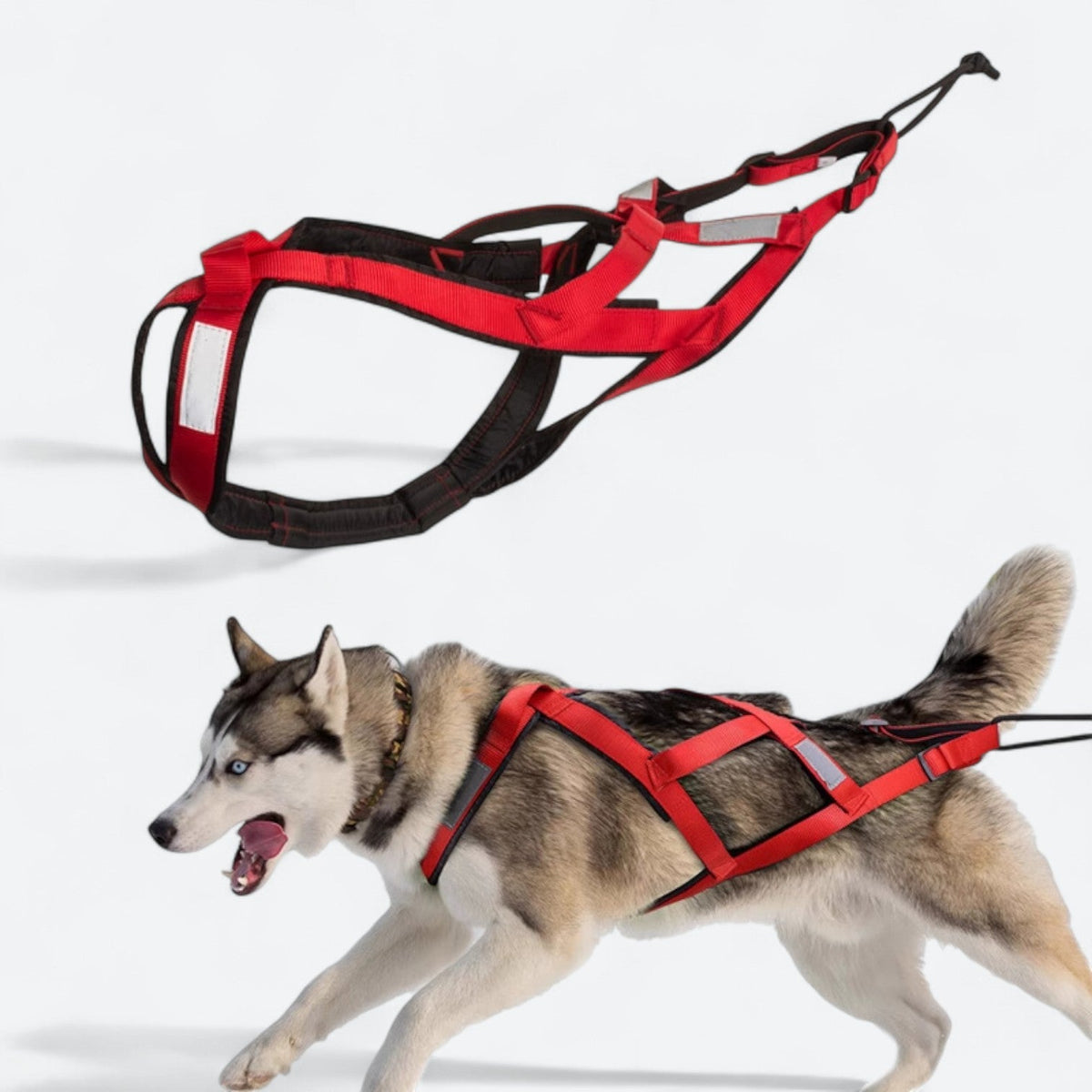 Outdoor dog sled harness