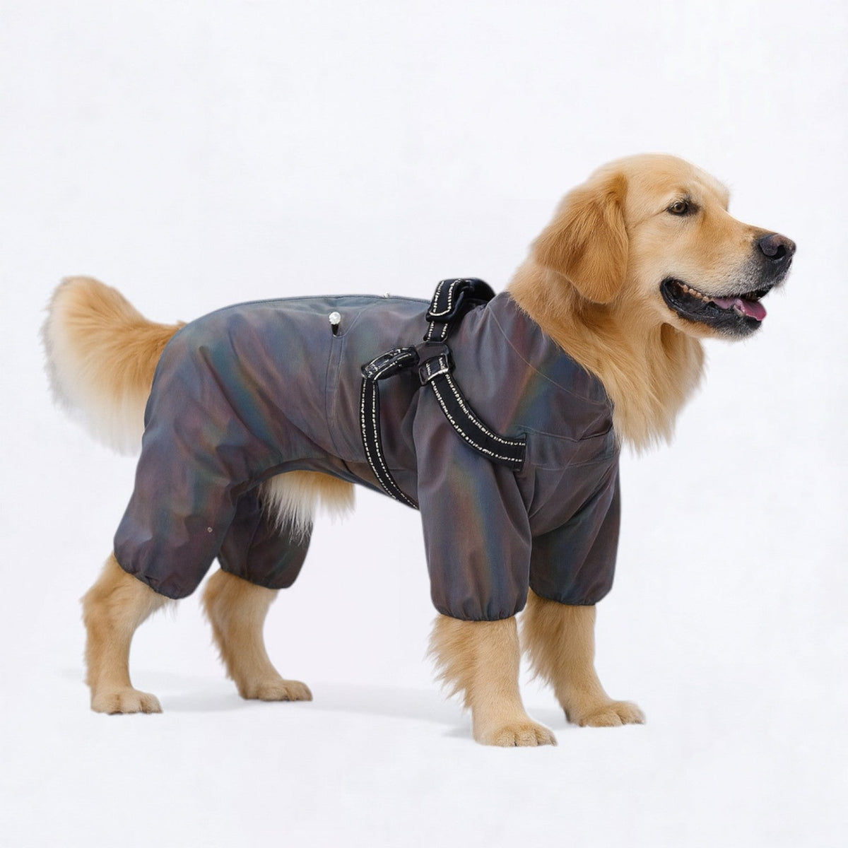 Outdoor-Full-Body-Dog-Raincoat.jpg