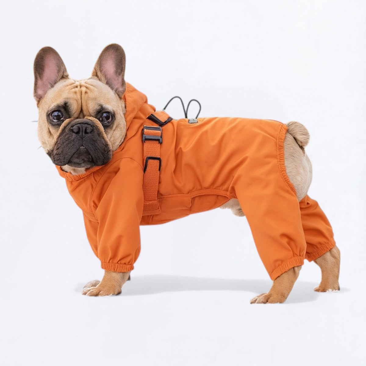 Outdoor-Full-Body-Dog-Raincoat.jpg