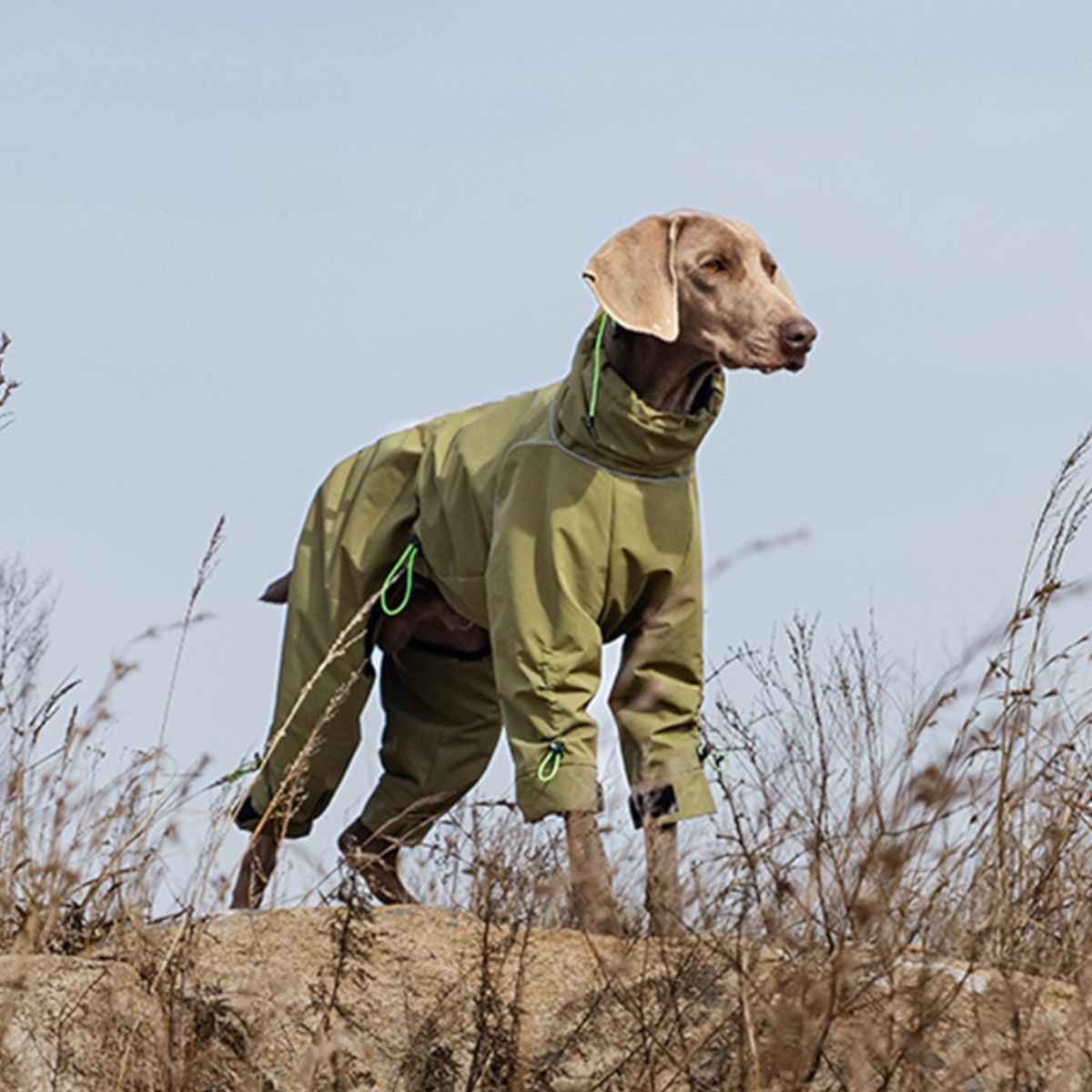 Outdoor-Snowfall-Dog-Jumpsuit.jpg