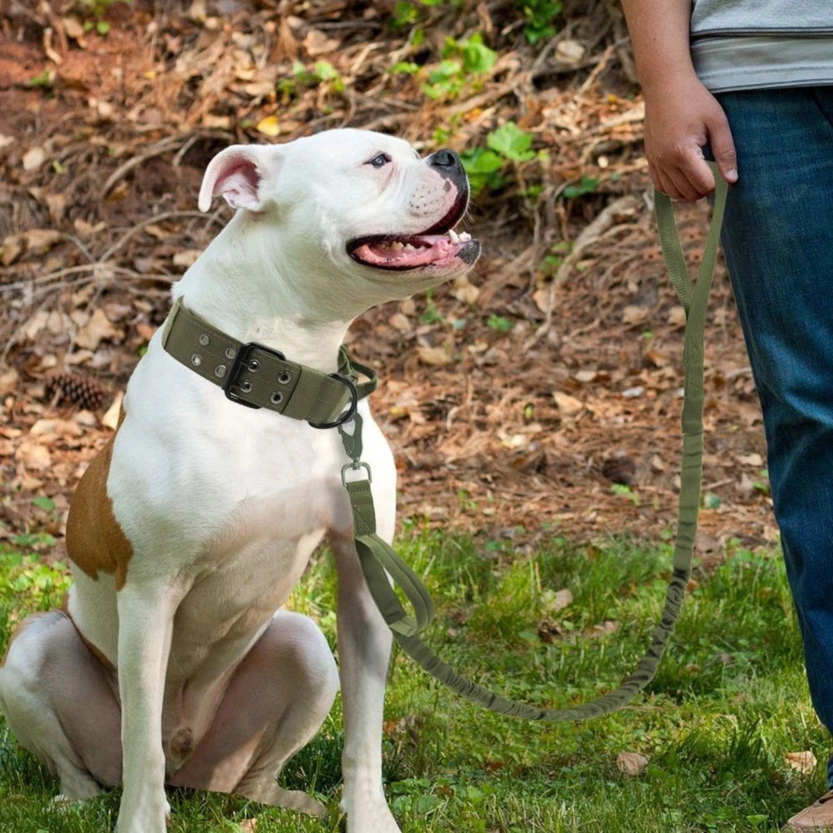 Outdoor-Tactical-Dog-Collar-Leash-Set.jpg
