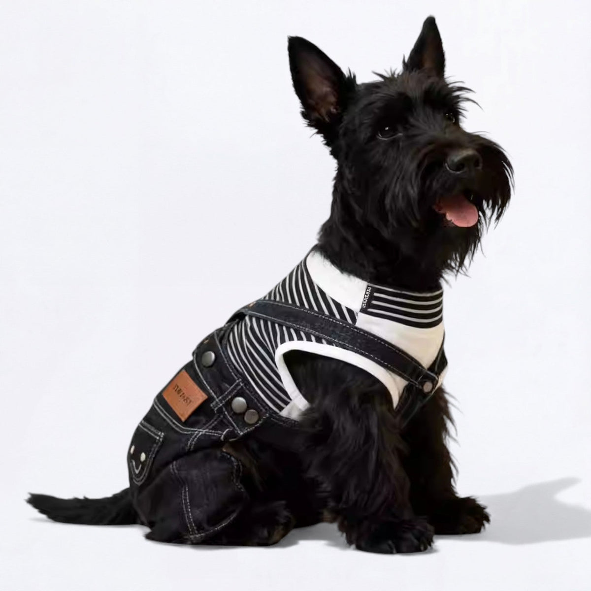 Overalls-Denim-Dog-Outfit.jpg