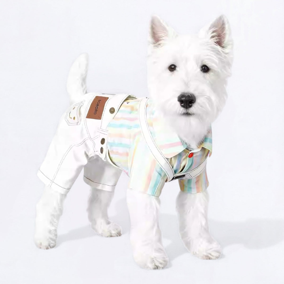 Overalls-Denim-Dog-Outfit.jpg