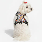 Max - NO-PULL Iggy Harness & Leash Set | for small and large Dogs