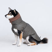 Dog wearing a quilted winter jacket