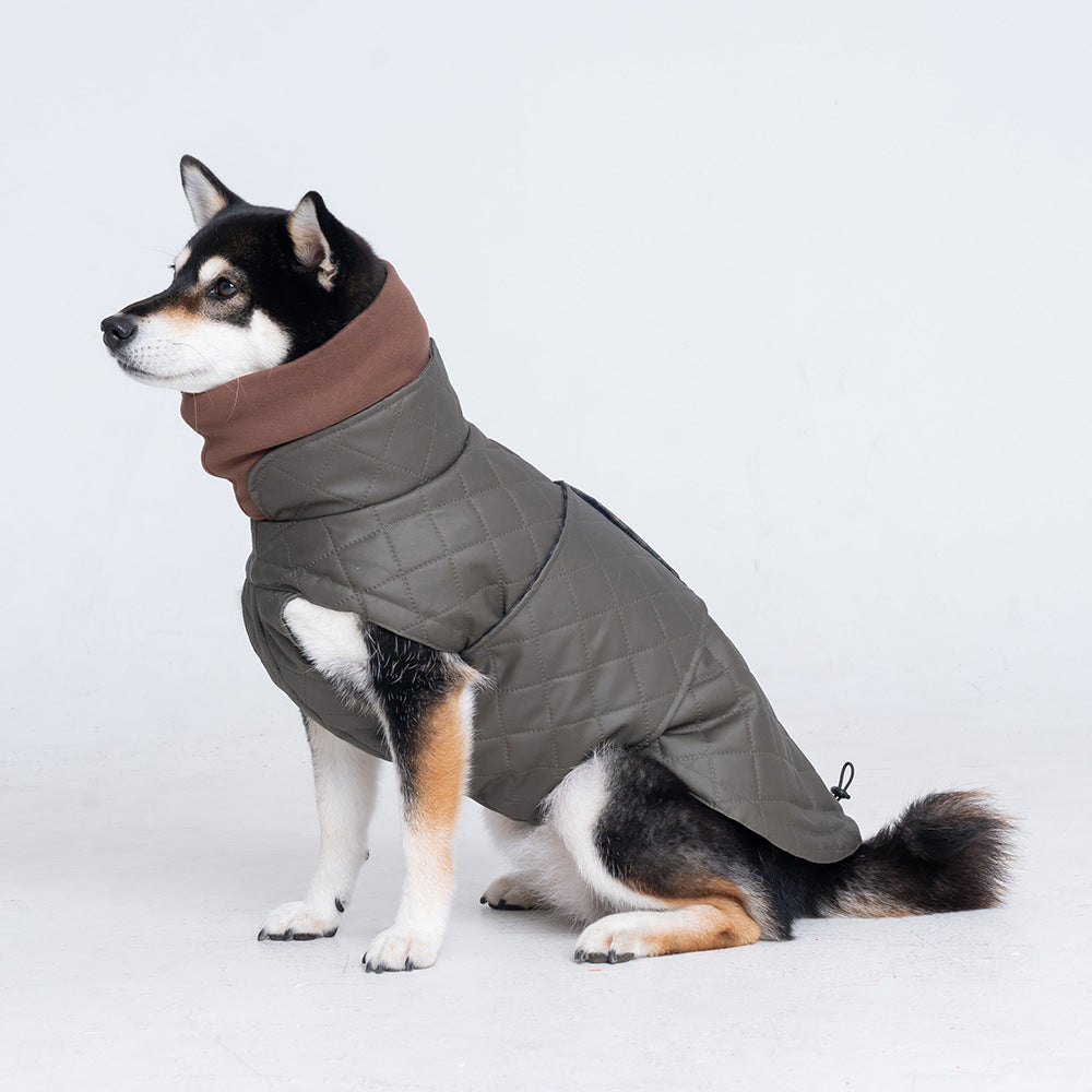 Dog wearing a quilted winter jacket