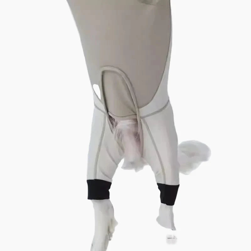 Plus-Velvet-Dog-Ski-Suit.jpg