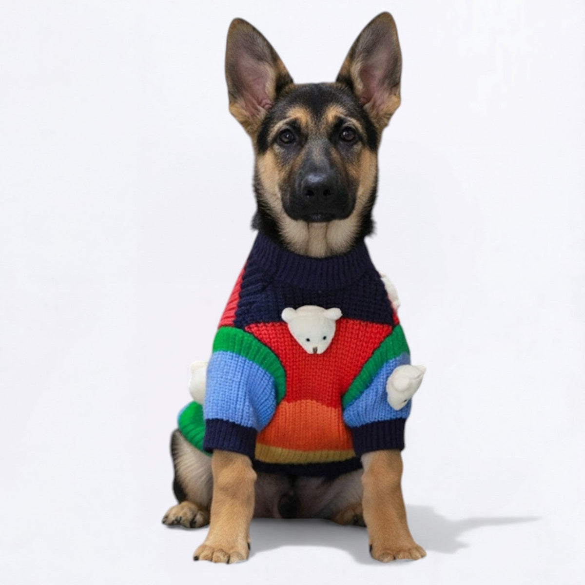 Plush-Bears-Warm-Dog-Sweater.jpg