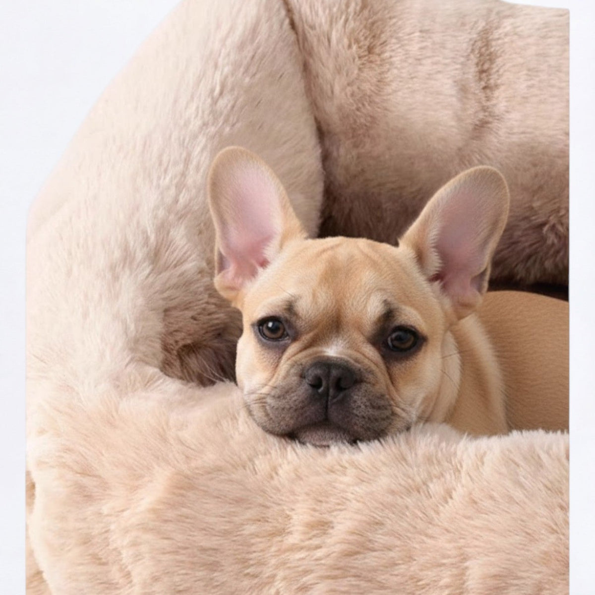 Plush-Semi-Enclosed-Dog-Bed.jpg